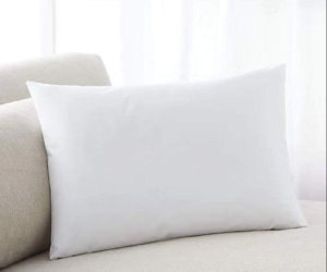 Hotel Pillow